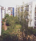 My Home